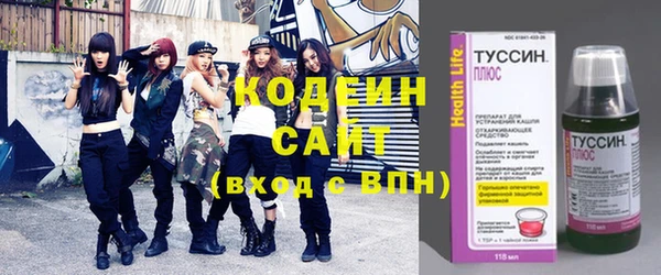 прущие крисы Бородино