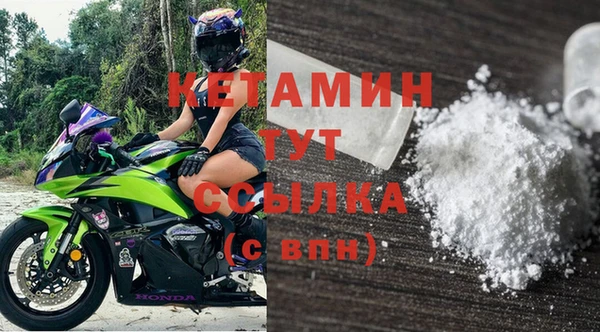 прущие крисы Бородино