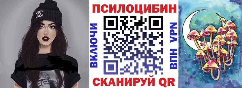 Псилоцибиновые грибы мицелий  где найти   Любань 