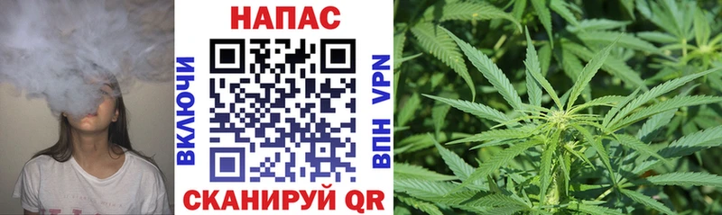 Конопля конопля  Любань 